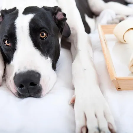 ラディソン ブルー パーク オスロ ホテル フォルネブ