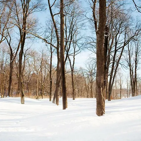 ラディソン ブルー パーク オスロ 4*