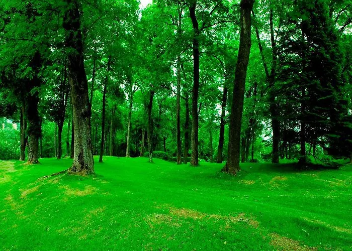 Hotell Radisson Blu Park Hotel, Oslo