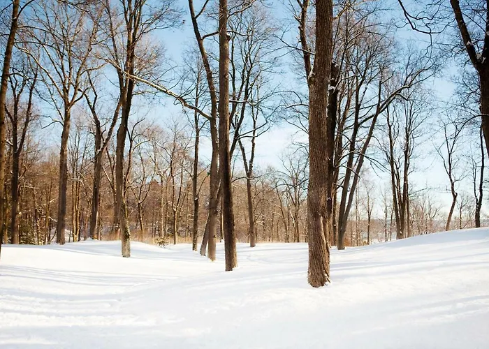 راديسون بلو بارك هوتل، أوسلو 4*