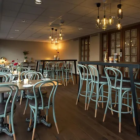酒店 奥斯陆丽笙布鲁公园酒店